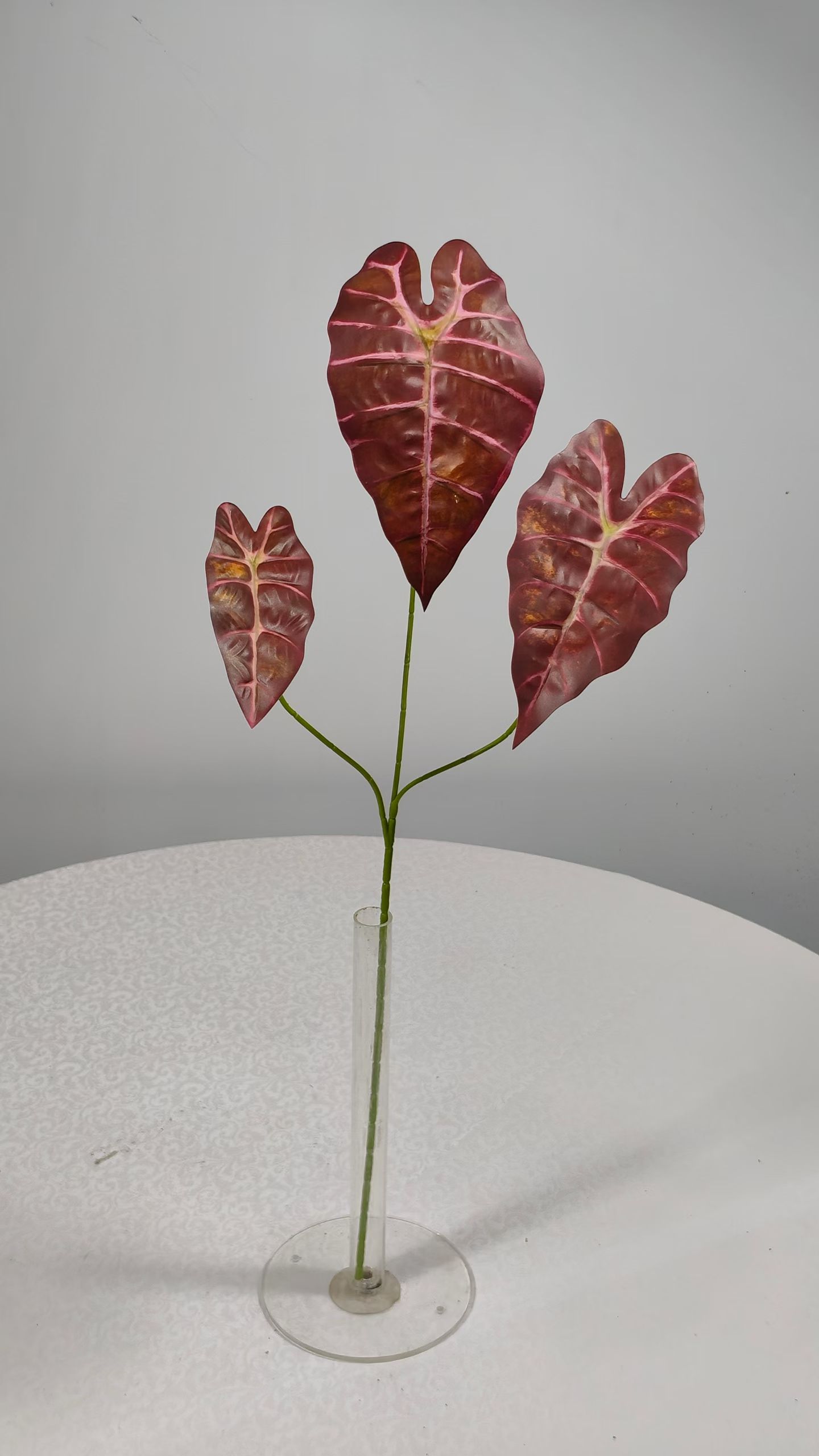 Decorative-Bushes10