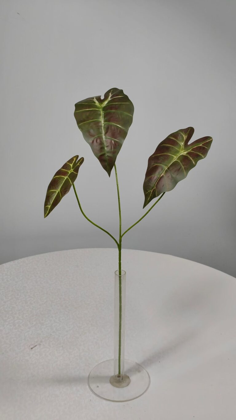Decorative-Bushes11