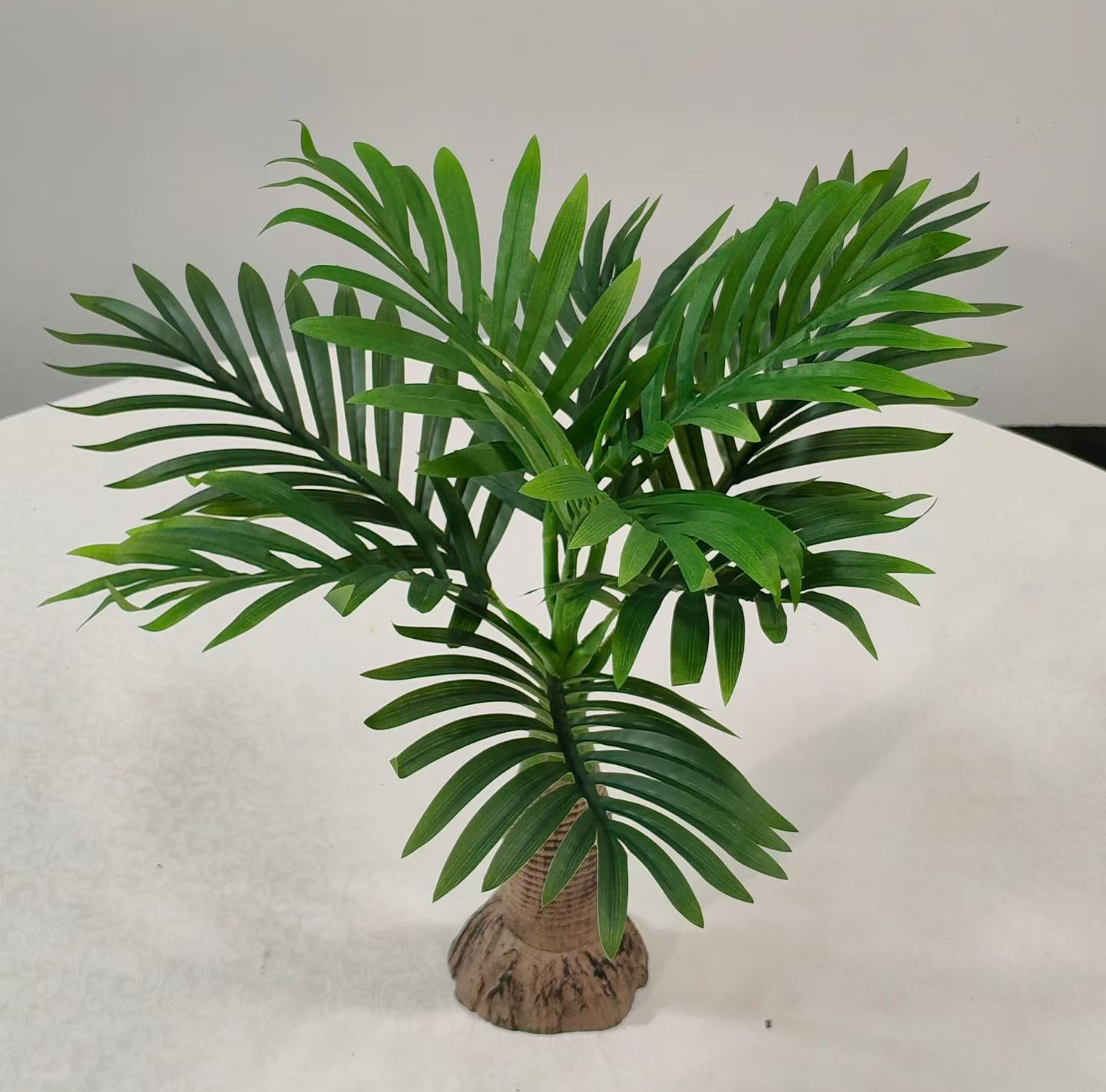 House Plants 02