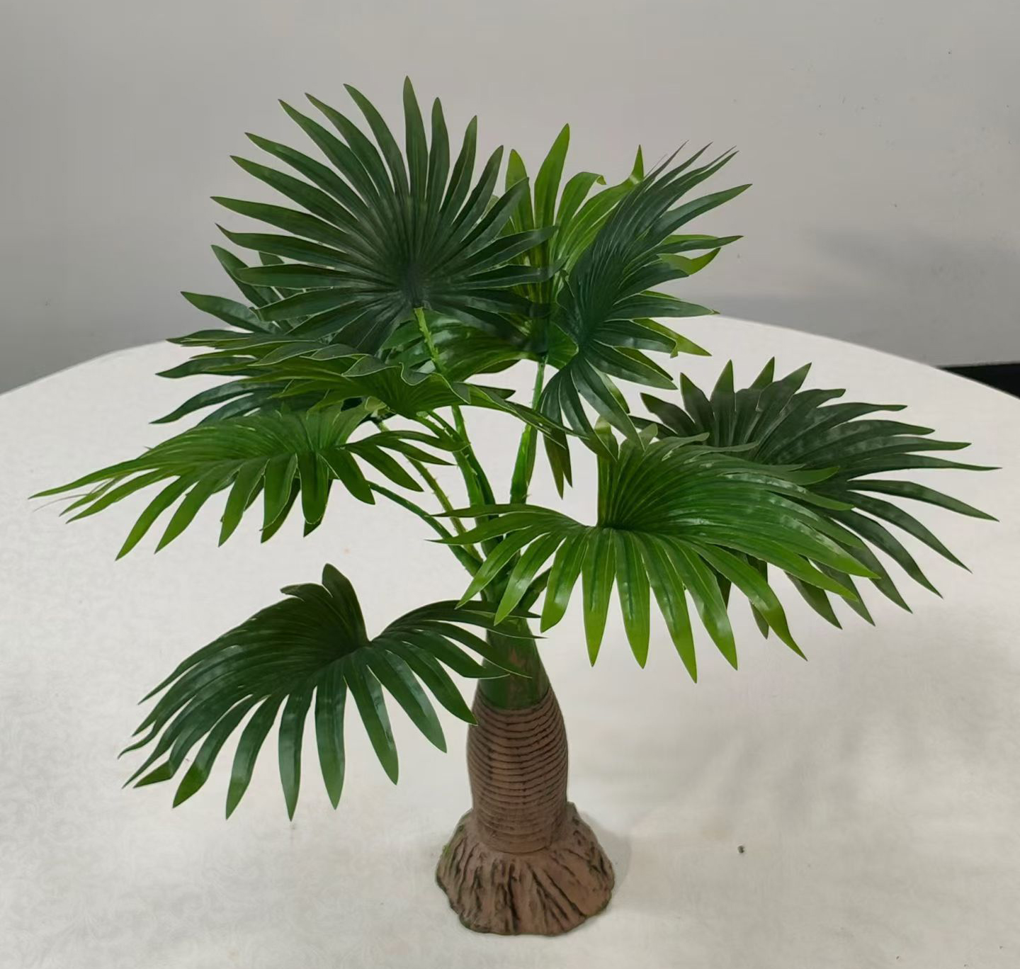 House Plants 03