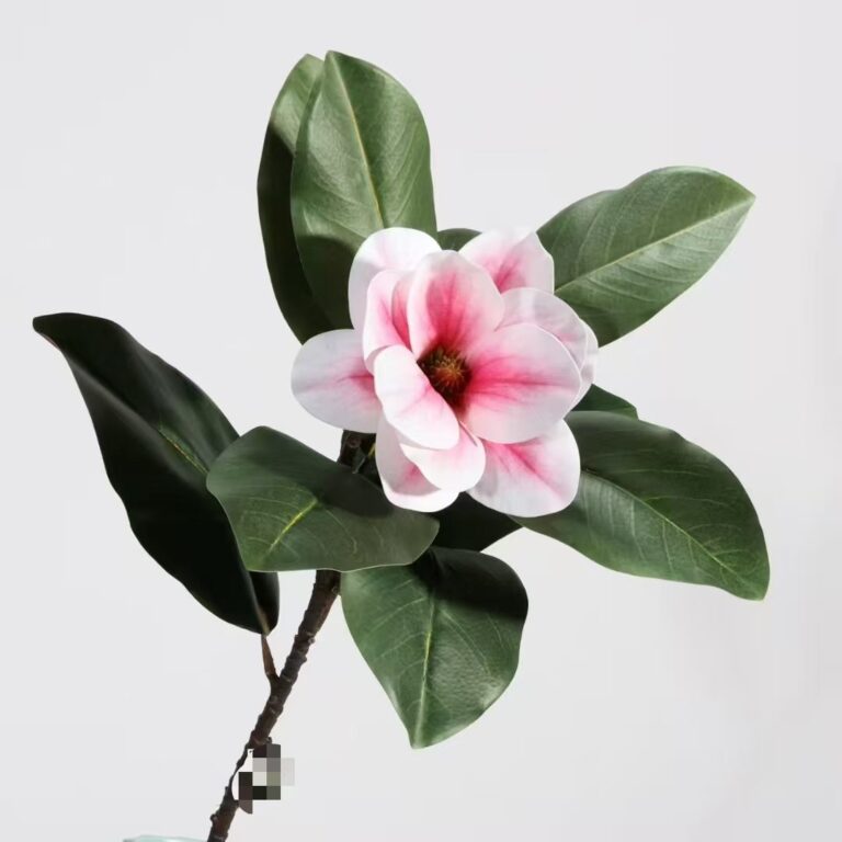 Seasonal Flowers11
